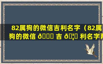 82属狗的微信吉利名字（82属狗的微信 🐈 吉 🦉 利名字两个字带静字）